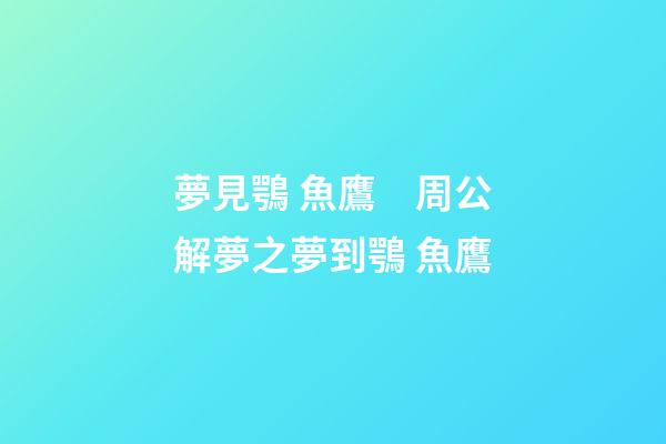 夢見鶚 魚鷹　周公解夢之夢到鶚 魚鷹